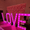 flower wall for hire, love lights hire