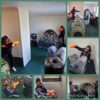 nerf gun parties, nerf challenge, nerf parties kent