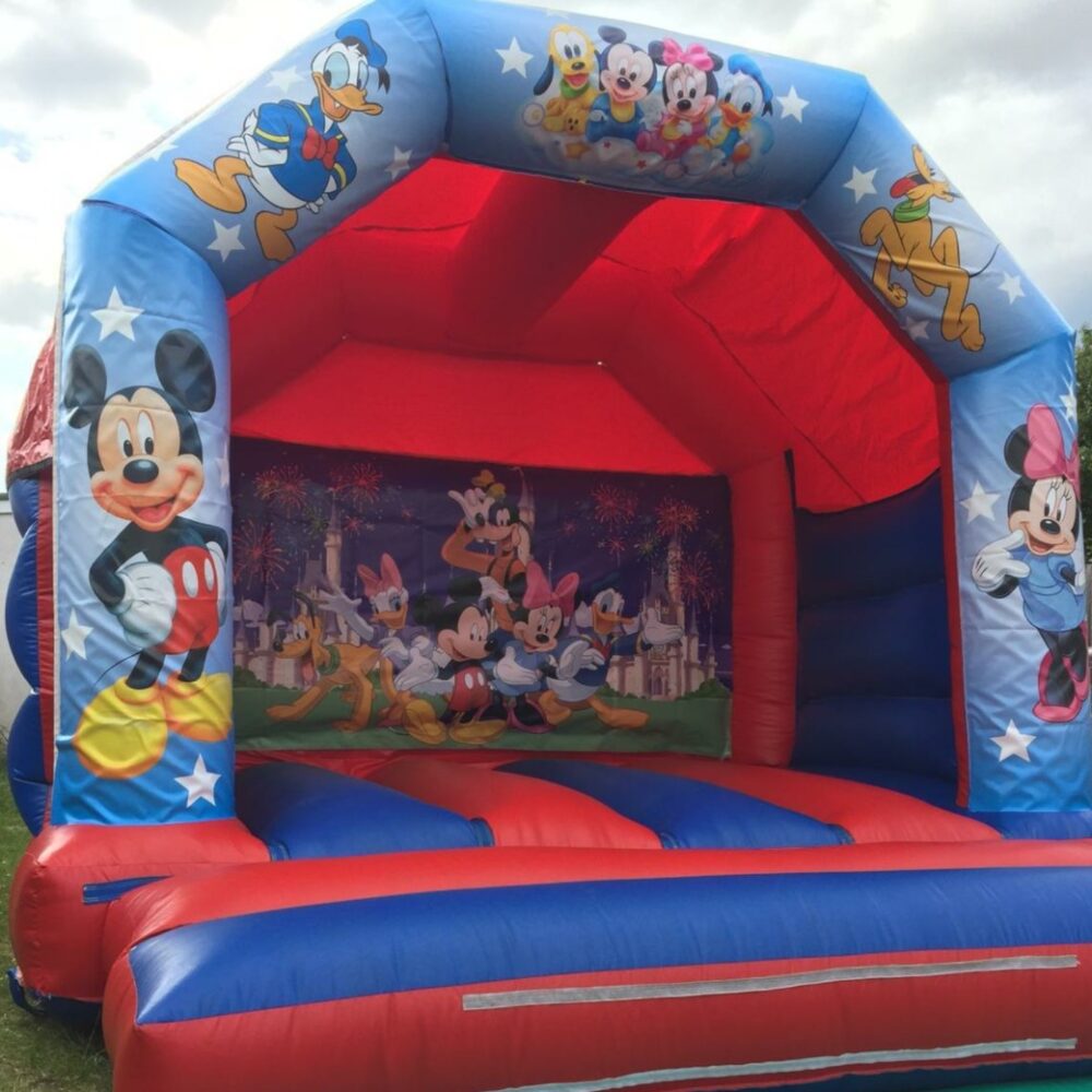 bouncy castle hire, popular cartoon character theme bouncy castle
