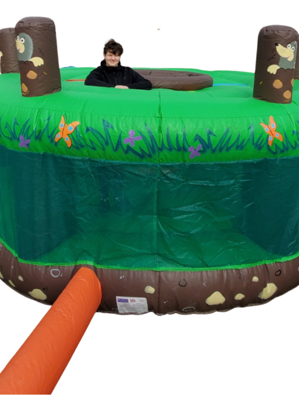 whack a mole inflatable to hire Kent