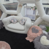 Wedding Quiet Zone Dome Hire - Image 13