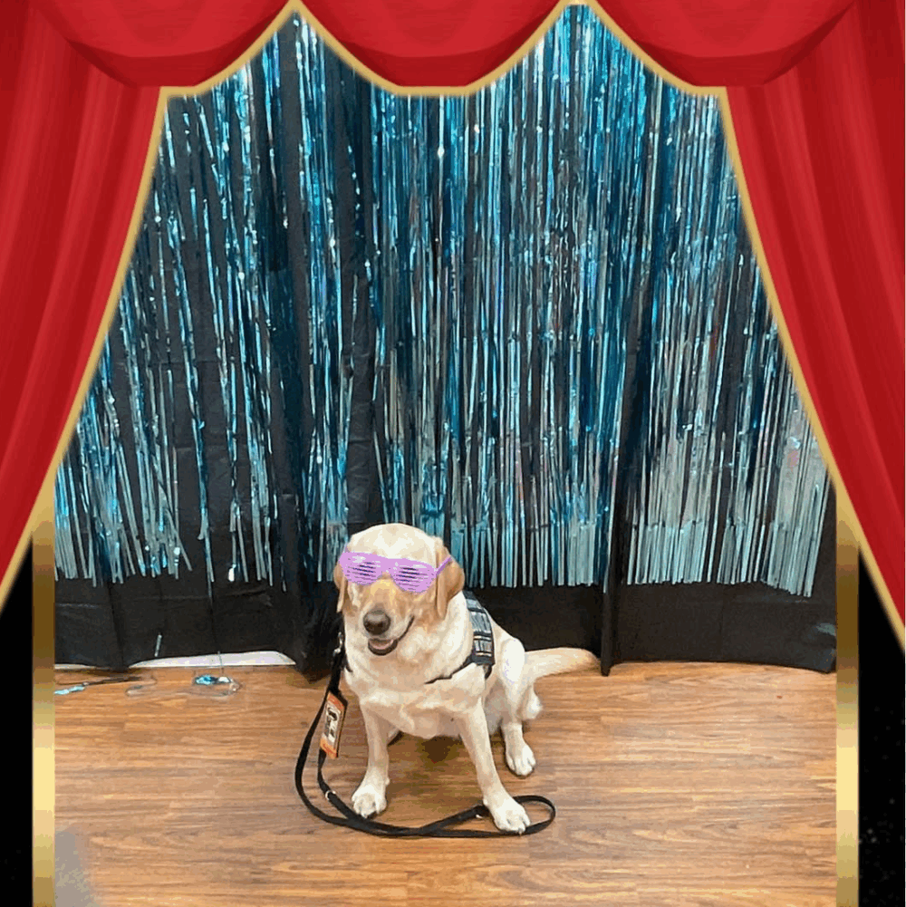 photo booth backdrop, party hire